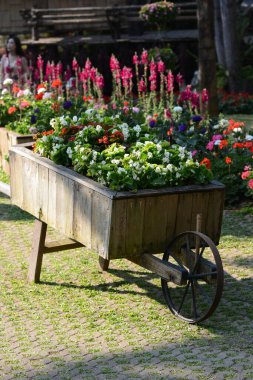 Parkta güzel bir bahçe.