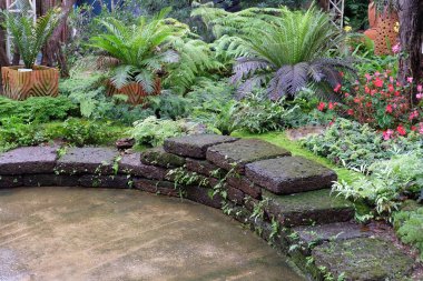 Yeşil bitkileri olan güzel bir tropik bahçe.