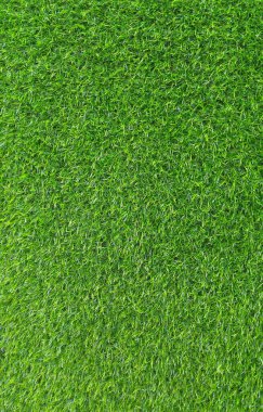 yeşil çimen dokusu arkaplanı