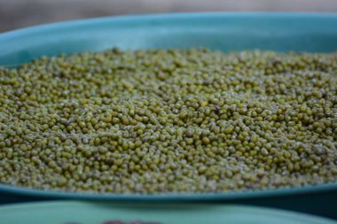 Bir kase yeşil fasulye yakın çekim