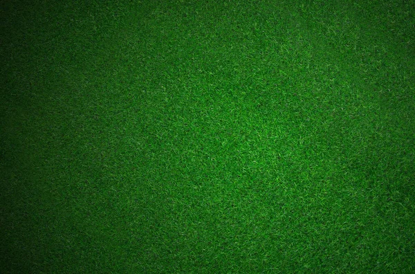 Grön Gräs Konsistens Bakgrund — Stockfoto