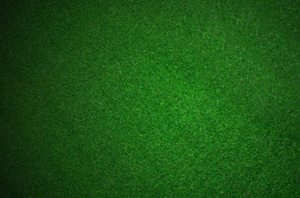 Green Grass Texture Background — Stock Photo, Image