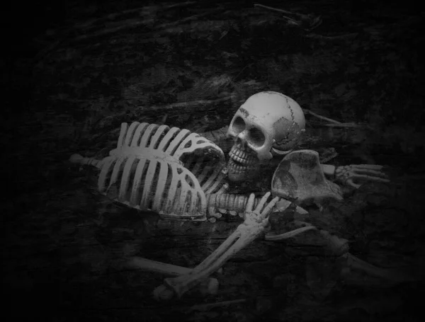 頭蓋骨と骨格が暗い背景で — ストック写真