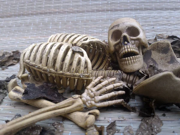 Kafatası Iskelet Gri Arkaplanda — Stok fotoğraf