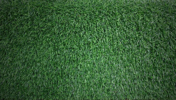 Vert Herbe Texture Fond — Photo