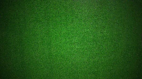 Green Grass Texture Background — Stock Photo, Image