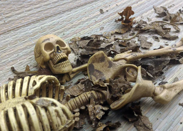 skull and skeleton on grey background