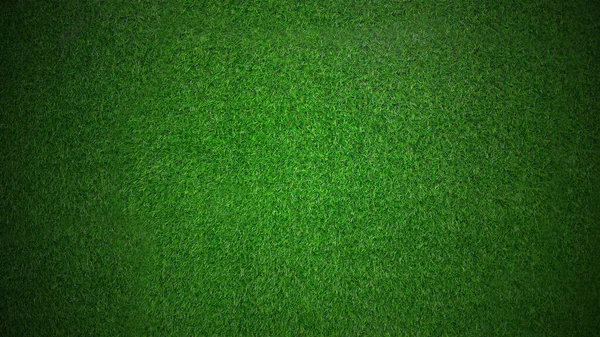 Vert Herbe Texture Fond — Photo