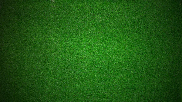 Зеленый Цвет Травы — стоковое фото