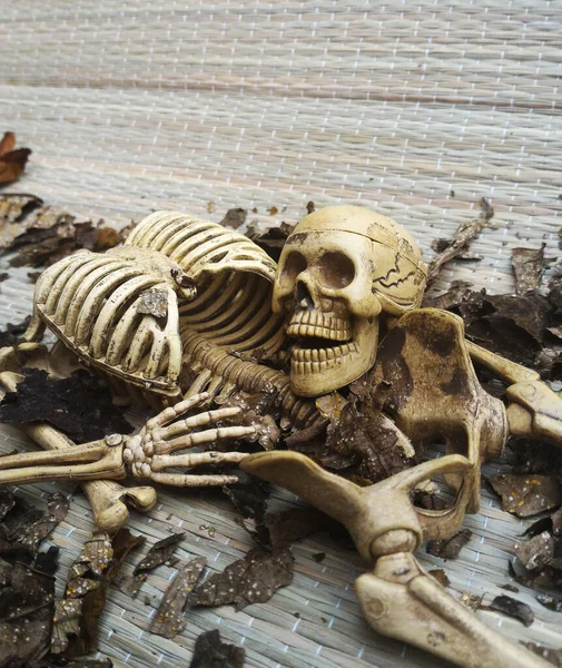 颅骨和灰色背景的骨骼 — 图库照片