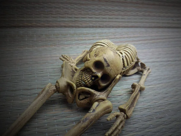 Cráneo Esqueleto Sobre Fondo Gris — Foto de Stock