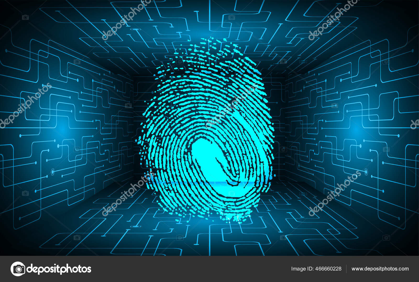 HD fingerprint wallpapers  Peakpx