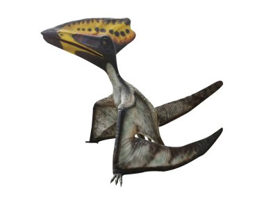 Beyaz arkaplanda izole edilmiş dinazor