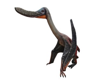 Beyaz arkaplanda izole edilmiş dinazor