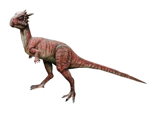 Dinosaurus Geïsoleerd Witte Achtergrond — Stockfoto