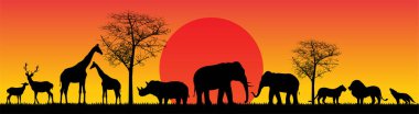 Günbatımı arka planında Afrikalı hayvanların siluetleri