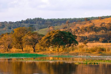 Brezilya 'nın Minas Gerais eyaletinde bir çiftlikte gün batımı