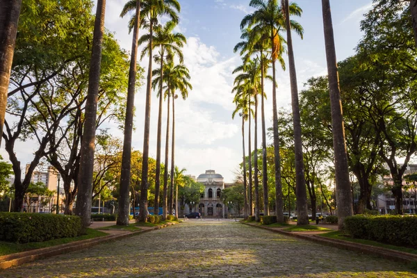Praca da Liberdade (Özgürlük Meydanı), Brezilya Belo Horizonte 'deki Hükümet Sarayı ile Alameda