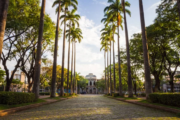 ブラジルのベロオリゾンテ州政府宮殿との自由広場 Praca Liberdade アラメダ ロイヤリティフリーのストック画像