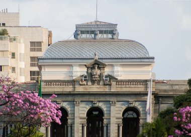 Minas Gerais Devlet Sarayı