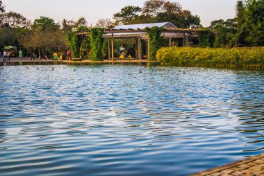 Belo Horizonte, Minas Gerais Brezilya 'daki Mangabeiras Parkı' nda göl