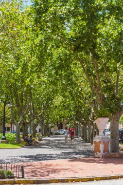 Plaza (Square) Ruiz de Arellano, San Antonio de Areco, Buenos Aires Eyaleti, Arjantin  
