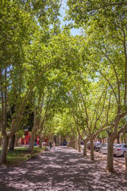 Plaza (Square) Ruiz de Arellano, San Antonio de Areco, Buenos Aires Eyaleti, Arjantin  