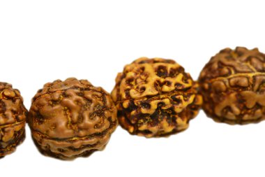 Japa mala (tespih) izole rudraksha yapılan