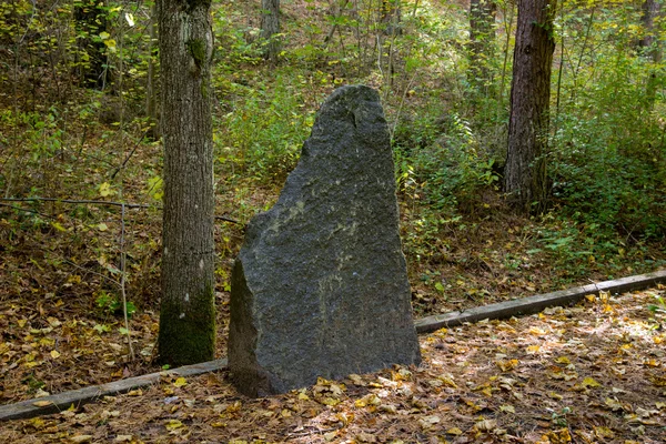 Roccia solitaria nella foresta — Foto Stock