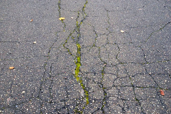 Textura de estrada de asfalto com uma rachadura — Fotografia de Stock
