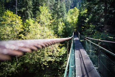 Slovensky Raj Lanova Lavka Köprüsü