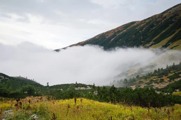 Mountain clouds, Tatras — Stock Photo, Image