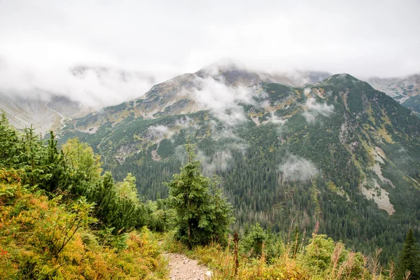 Jalan ke pegunungan Tatra — Stok Foto