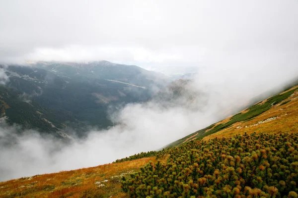 Climbing Volovec at Tatra mountains — Stock Photo, Image