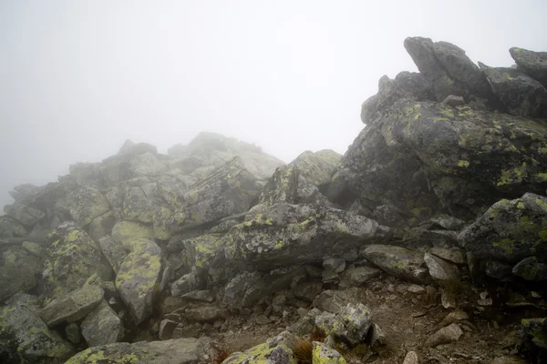 Ογκόλιθοι στην ομίχλη, Tatras — Φωτογραφία Αρχείου