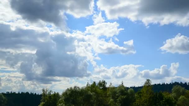 Nubes en movimiento en el cielo azul sobre árboles — Vídeos de Stock