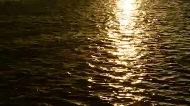 Reflexão da luz solar sobre a água — Vídeo de Stock