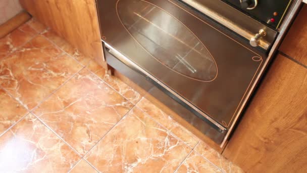 Homme Sortir le gâteau 