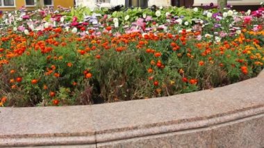Ukrayna, Ivano-Frankivsk Paskalya güneş bileşiminde