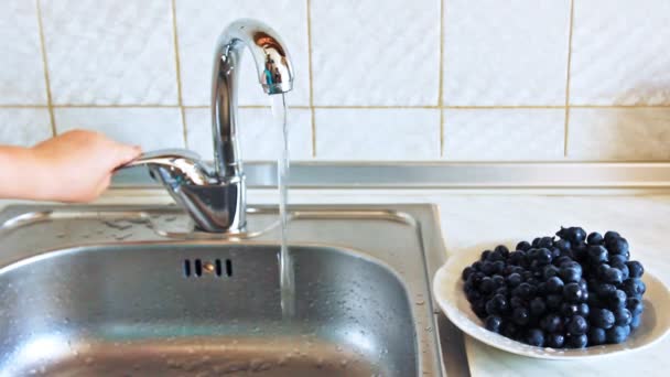 Hands Little Girl Wash Purple Grapes — Stock Video