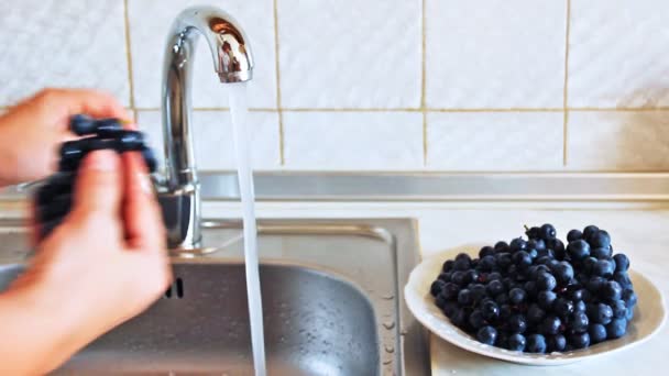 Hands Woman Wash Purple Grapes — Stock Video