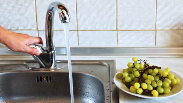 Hands Woman Wash Grapes — Stock Video