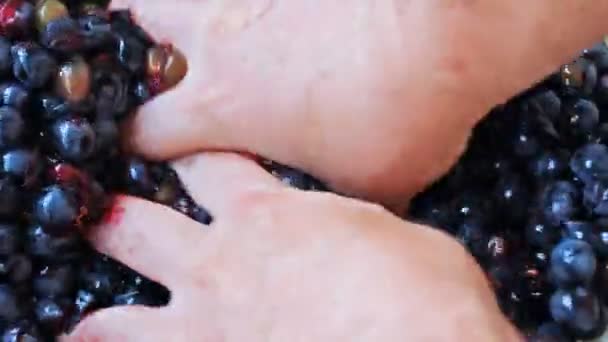 Mains Homme pressé raisins violets — Video