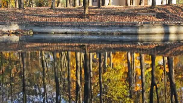 Orilla y lago — Vídeos de Stock