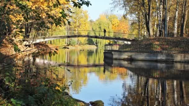 Puente sobre el lago — Vídeo de stock