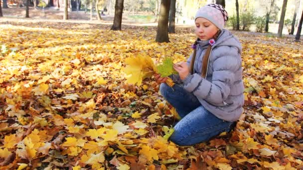 Meisje verzamelt bladeren in park — Stockvideo