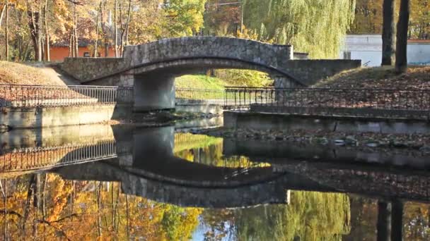 Каменный мост в Осеннем парке — стоковое видео