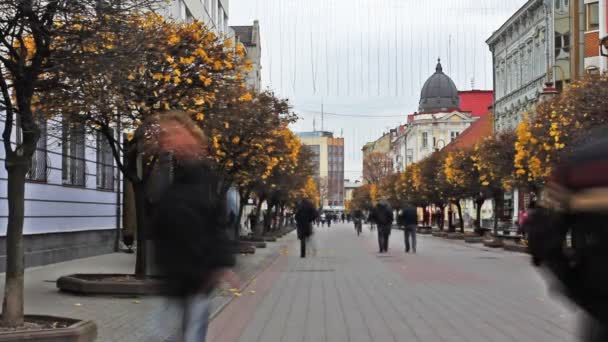 Rue piétonne Timelapse — Video