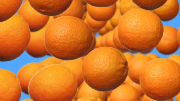 Naranjas en filas — Vídeo de stock