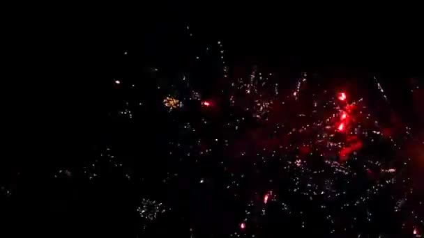 Fogos de artifício reais 5 — Vídeo de Stock